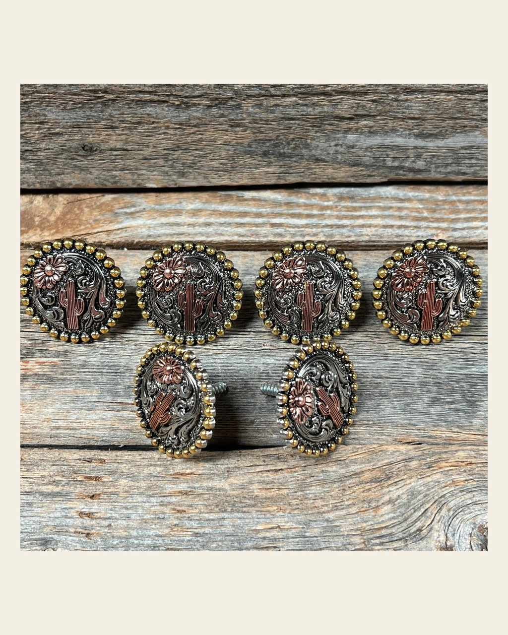 Cactus and Flower Saddle Set SSW219 on a warm cream background