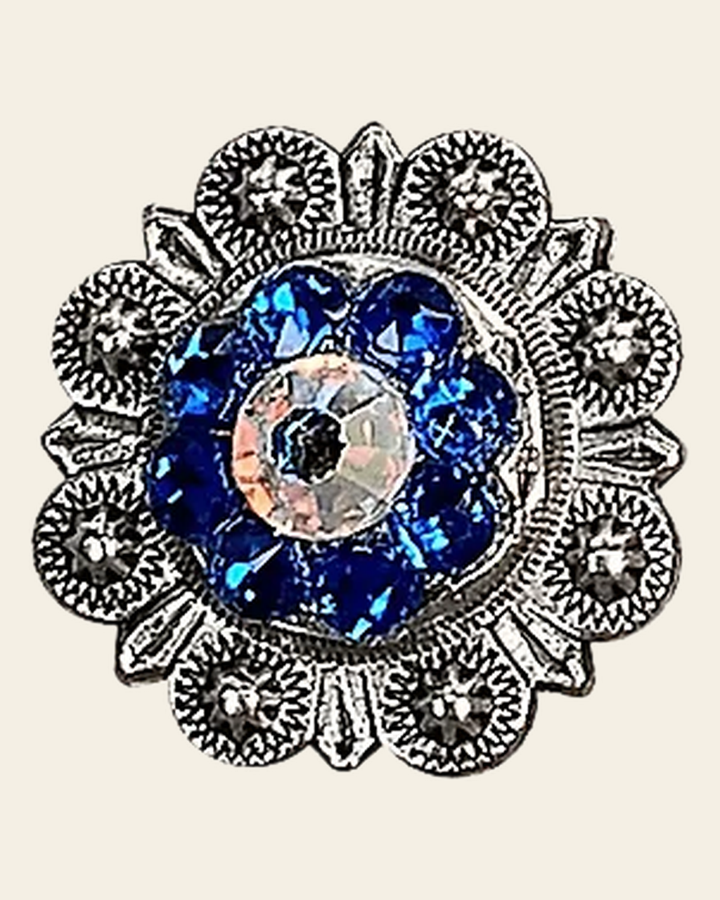 Capri & AB Antique Silver 1" European Crystal Concho on a warm cream background