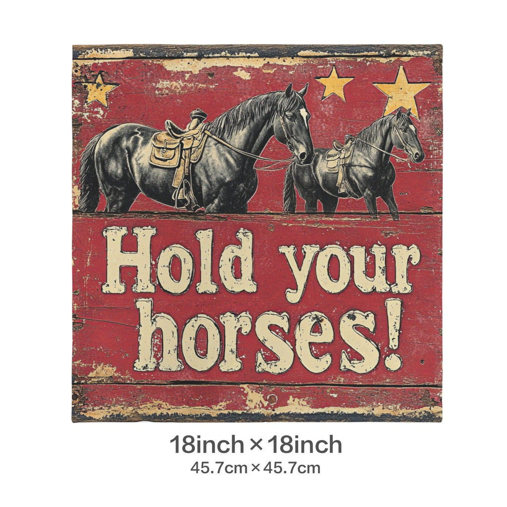 Baha Ranch Hold Your Horses Velvety Soft Pillow Case Made in America by Baha Ranch Western Wear - product image 3