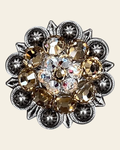 Champagne & AB Antique Silver 1.25" European Crystal Concho on a warm cream background