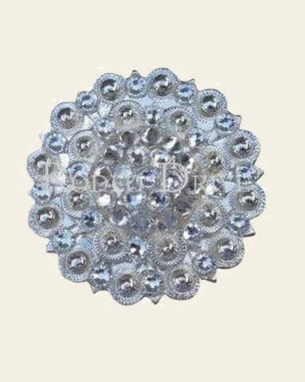 Clear Bright Silver Berry Jacket European Crystal Concho on a warm cream background