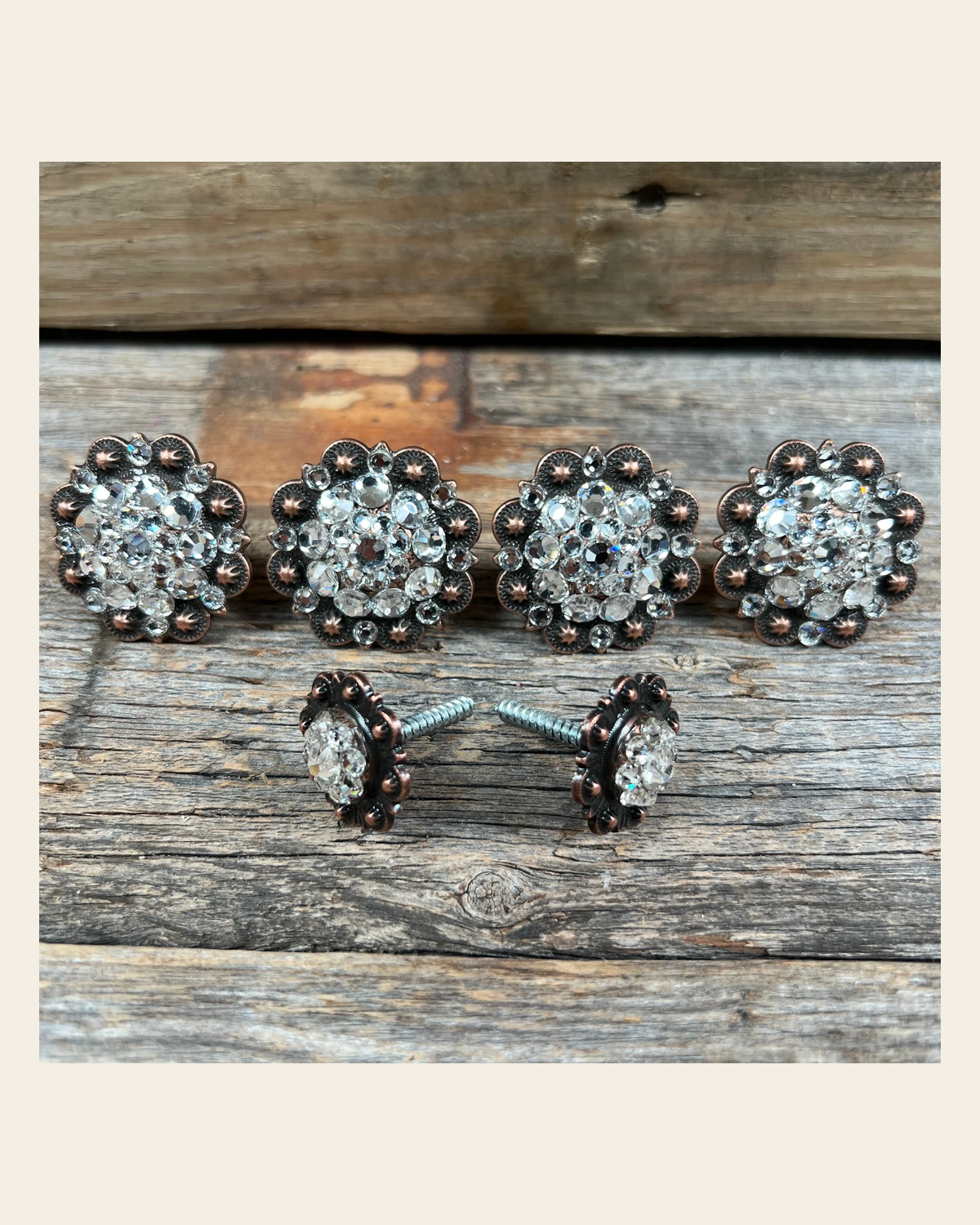 Copper Clear Saddle Conchos on a warm cream background