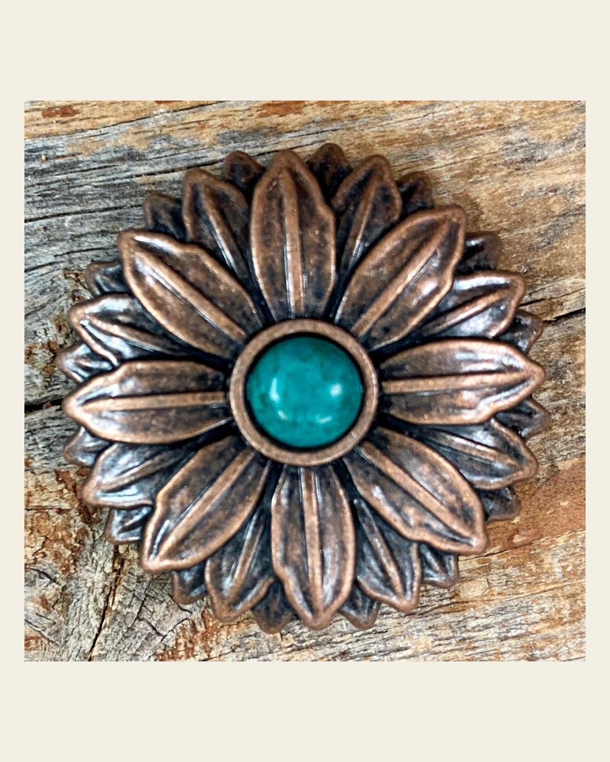 Copper Daisy Turquoise Concho 1.5" W132L on a warm cream background