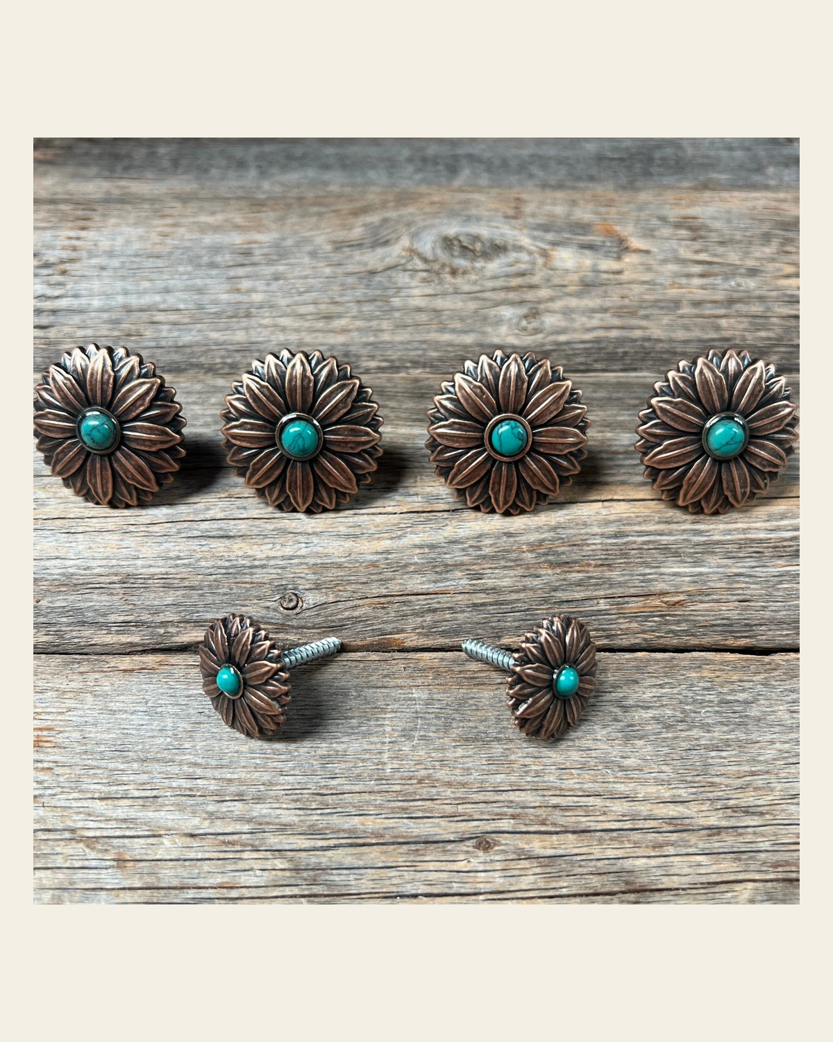Copper Daisy Turquoise Saddle Set SSW132 on a warm cream background
