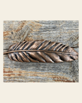 Copper Feather Concho 3" W169L on a warm cream background