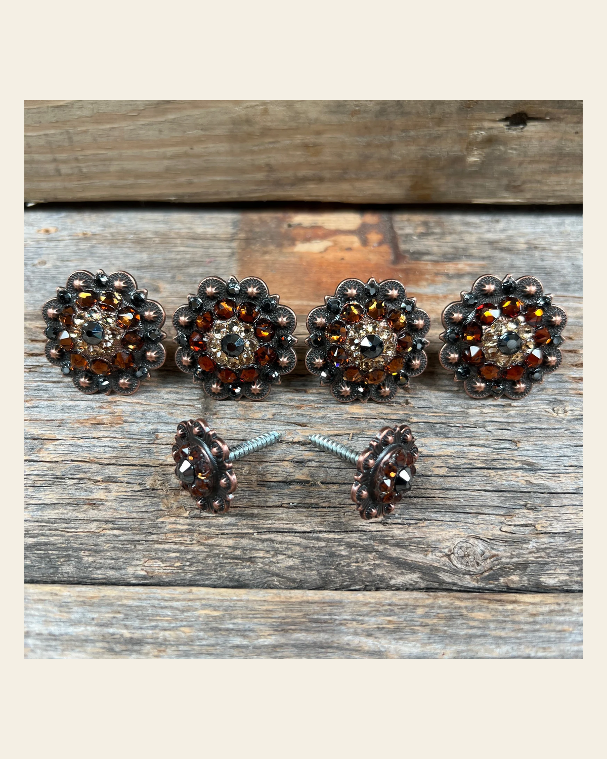 Copper Jet Champagne & Topaz Saddle Conchos on a warm cream background