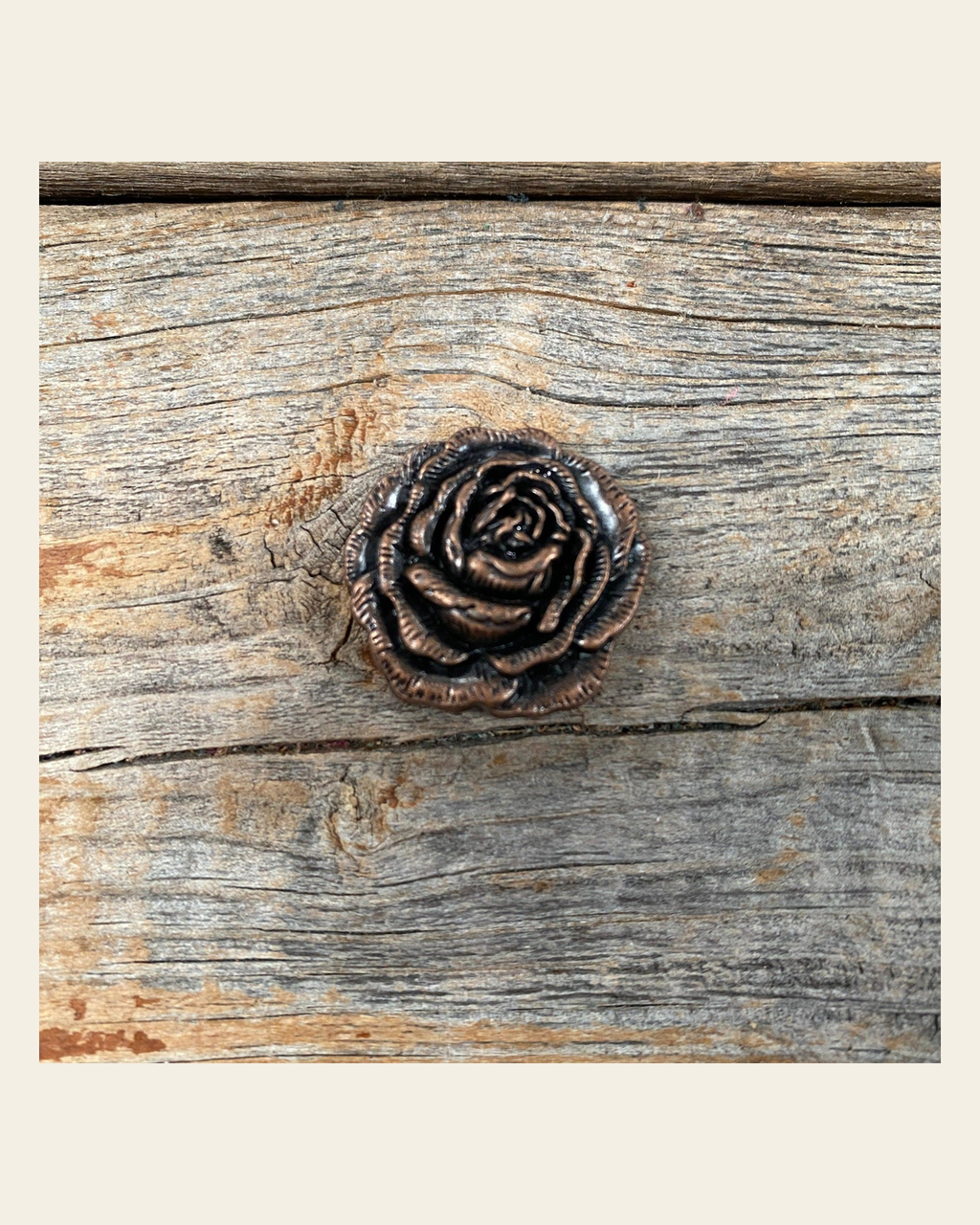 Copper Rose Concho 1" W107CS on a warm cream background