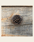 Copper Rose Concho 1" W107CS on a warm cream background