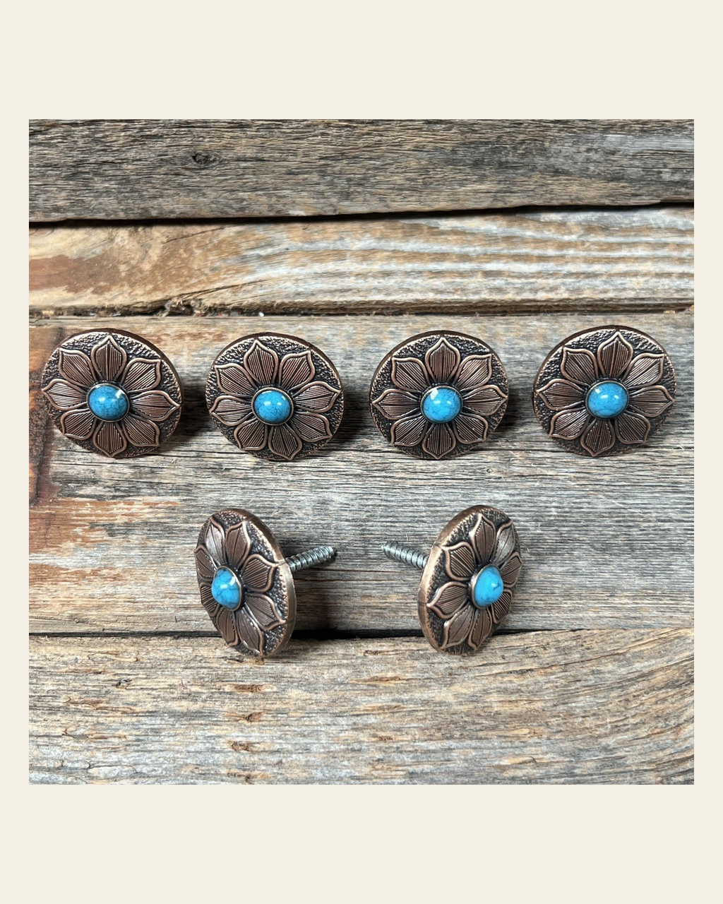 Copper Sunflower Concho Saddle Set SSW205 on a warm cream background