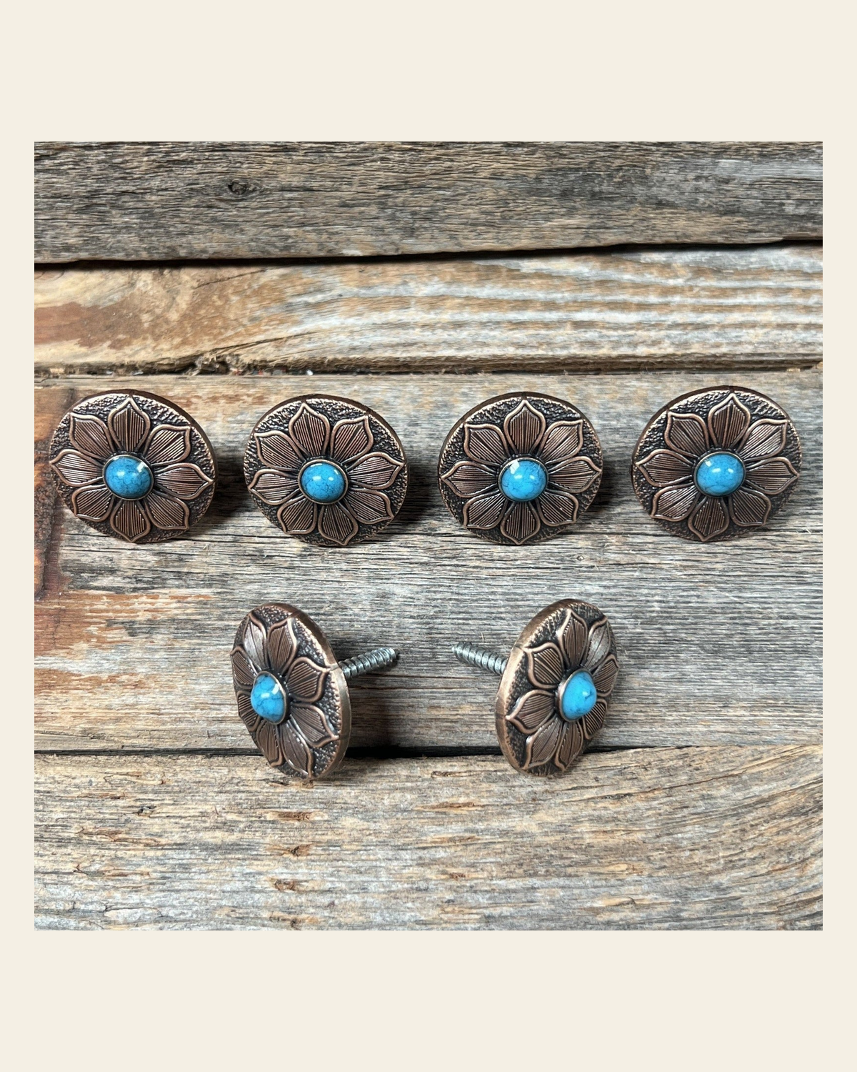 Copper Sunflower Concho Saddle Set SSW205 on a warm cream background