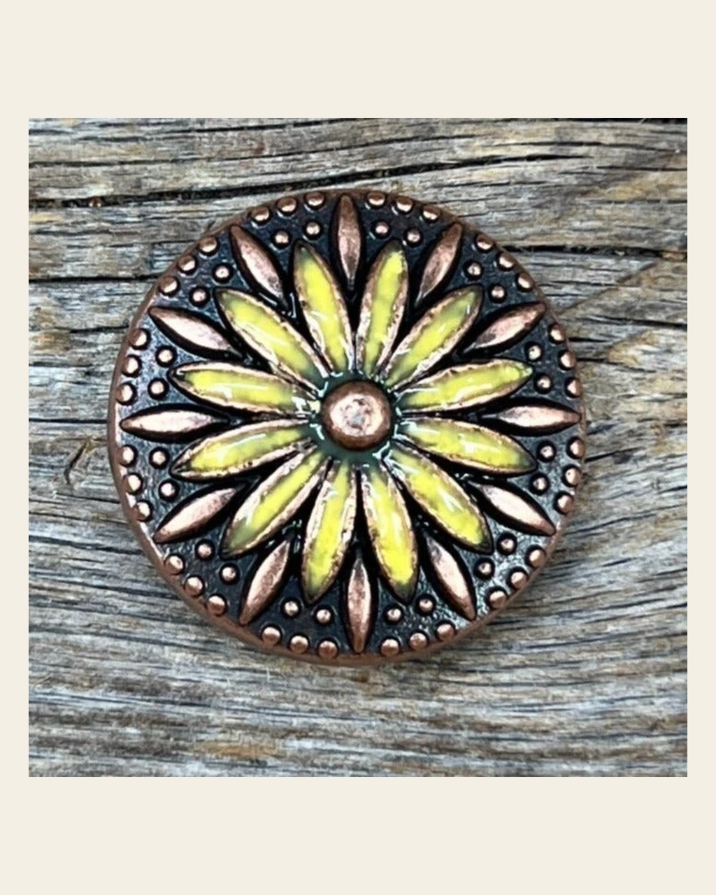 Copper Yellow Daisy Concho 1.5" W229L on a warm cream background
