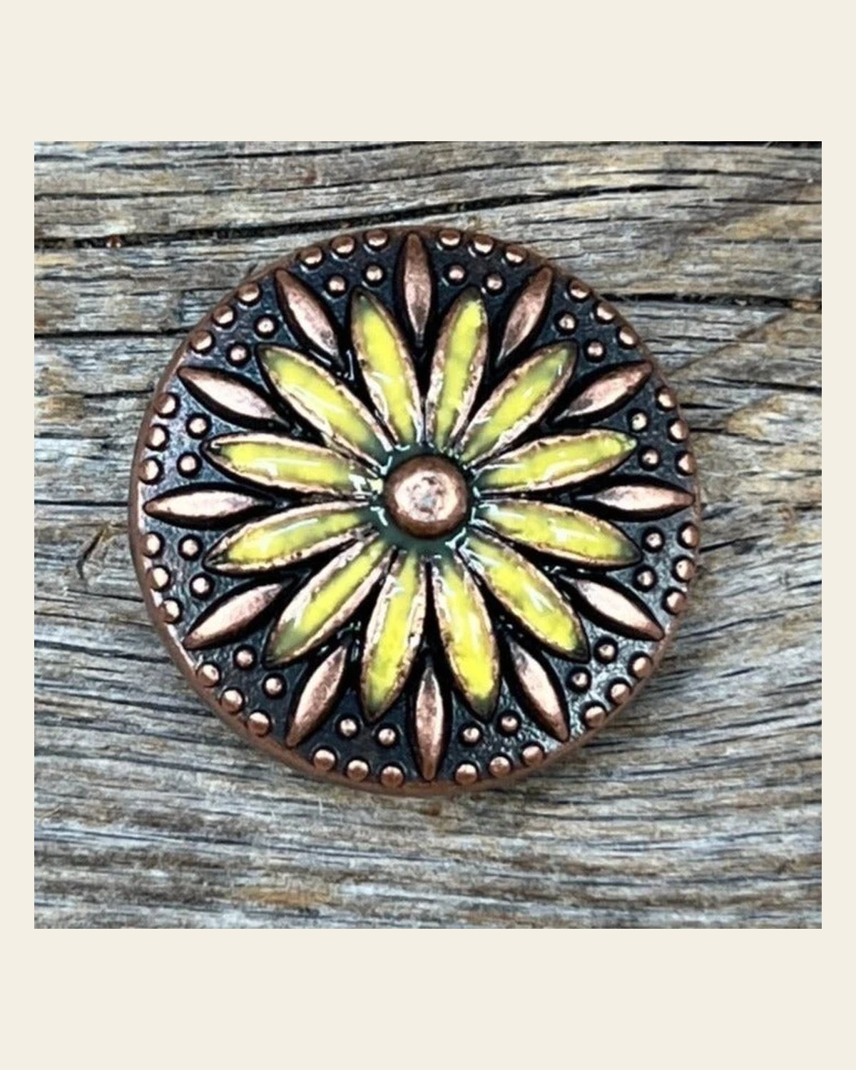 Copper Yellow Daisy Concho 1.5" W229L on a warm cream background