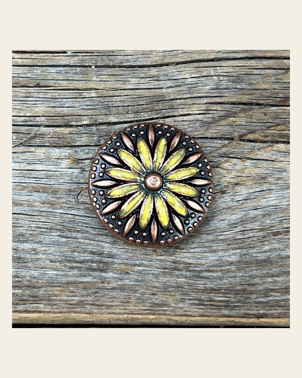 Copper Yellow Daisy Concho 1" W229S on a warm cream background