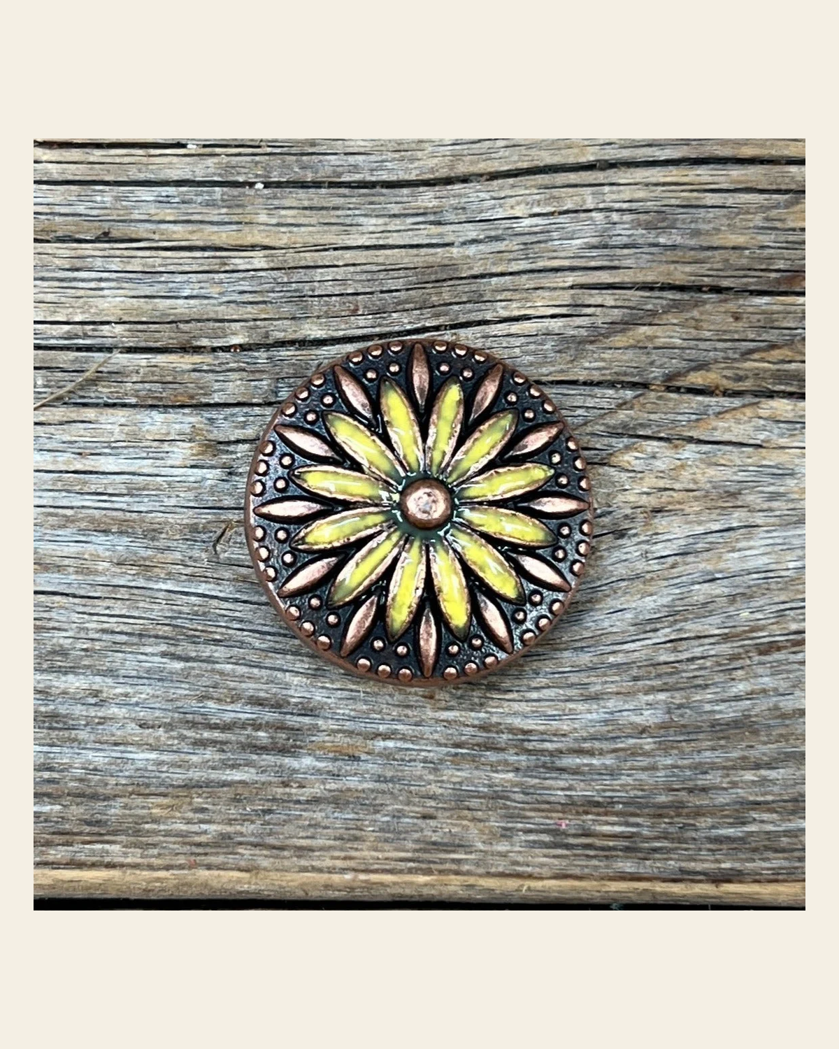 Copper Yellow Daisy Concho 1" W229S on a warm cream background