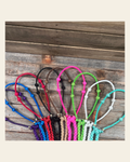 Lariat Hackamore and Double Reins - Assorted Colors on a warm cream background
