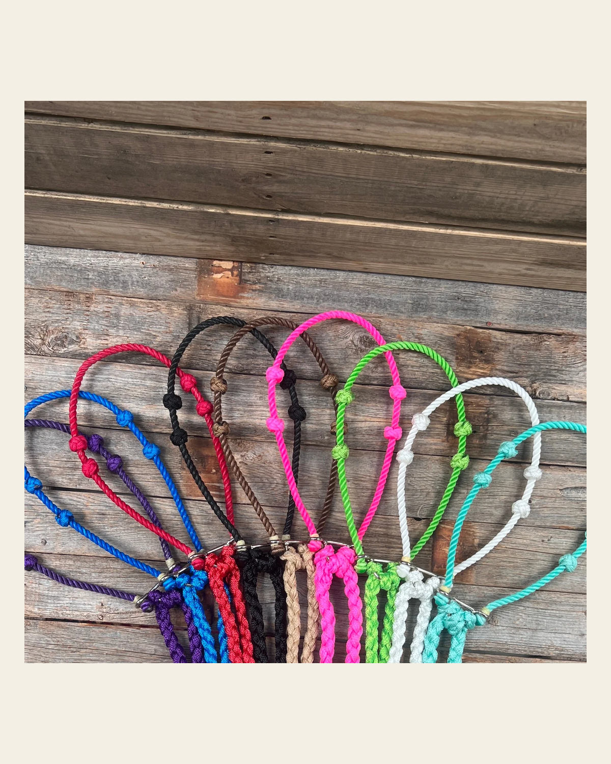 Lariat Hackamore and Double Reins - Assorted Colors on a warm cream background