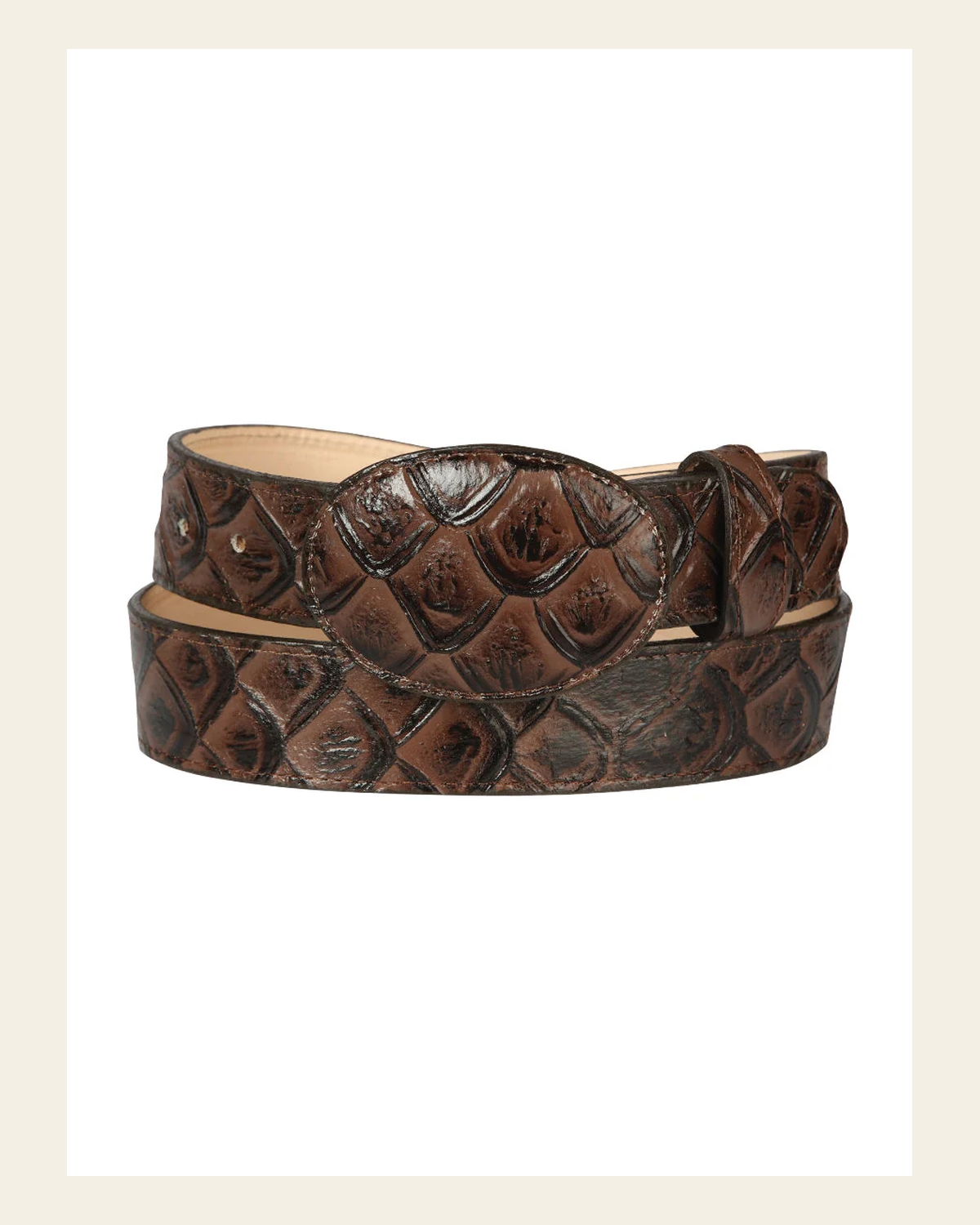 Cowboy Belt - El General - Imitation- Pirarucu - Brown 44668 on a warm cream background