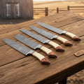 5-Piece Damascus Knife Set Bone and Wood Handle — Feather Damascus Blades