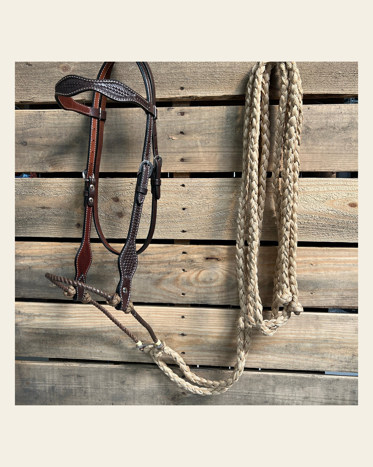 Dark Oil Basketweave Tan Loping Hackamore #LHK006 on a warm cream background
