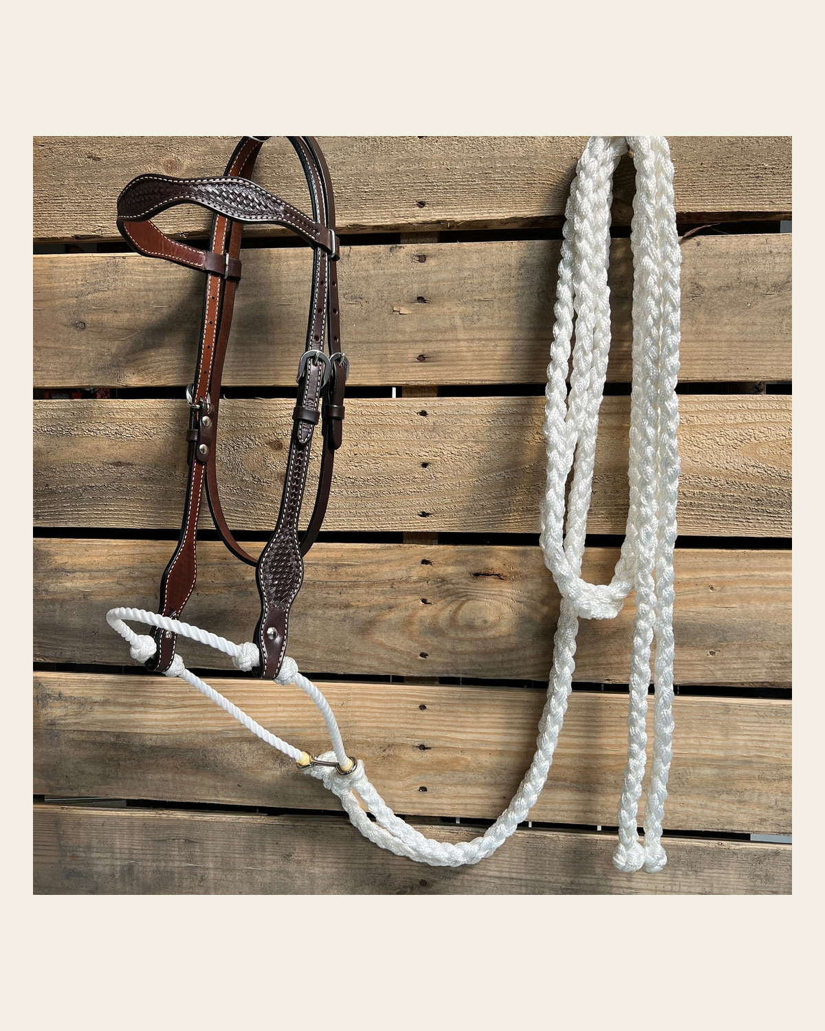 Dark Oil Basketweave White Loping Hackamore #LHK007 on a warm cream background