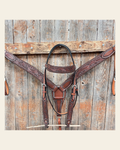 Dark Oil Braided Browband/One Ear Breastcollar Tack Sets on a warm cream background
