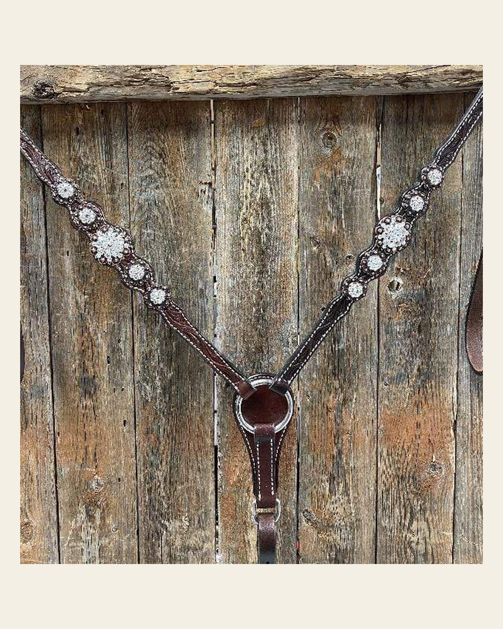 Dark Oil Breastcollar #BC210 on a warm cream background