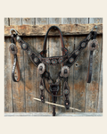 Dark Oil Floral Copper Dot & Turquoise Browband Headstall / Breastcollar Tack Set #BBBC535 on a warm cream background