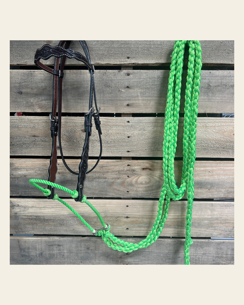 Dark Oil Floral Scalloped Lime Loping Hackamore #LHK019 on a warm cream background