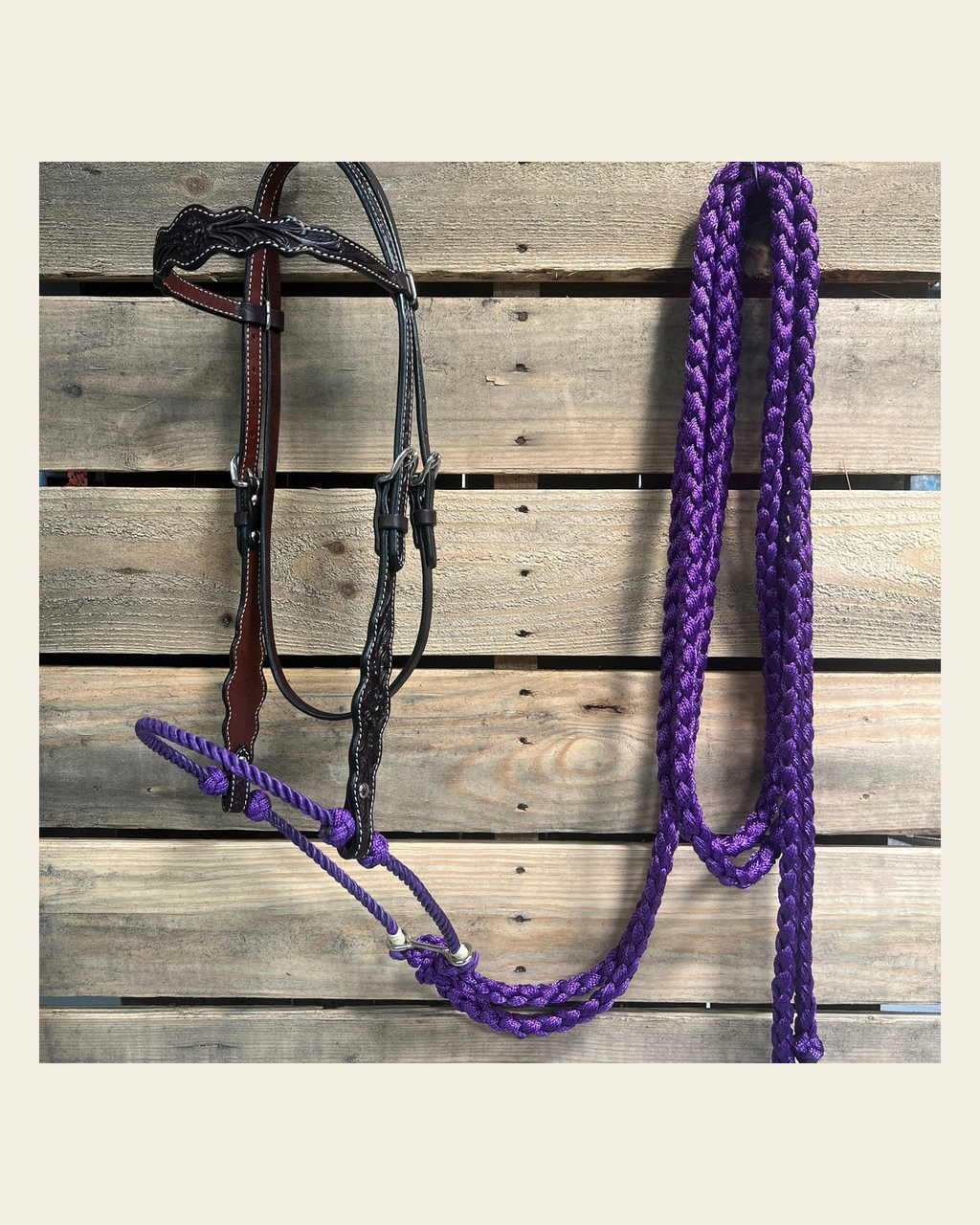 Dark Oil Floral Scalloped Purple Loping Hackamore #LHK017 on a warm cream background