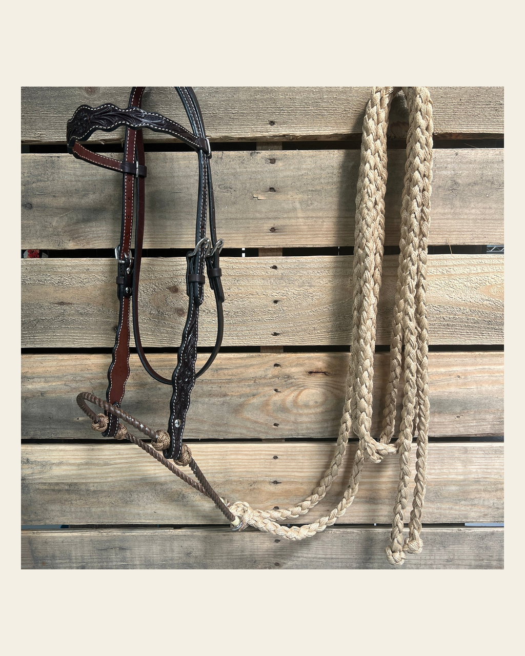 Dark Oil Floral Scalloped Tan Loping Hackamore #LHK018 on a warm cream background