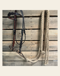 Dark Oil Floral Scalloped Tan Loping Hackamore #LHK018 on a warm cream background