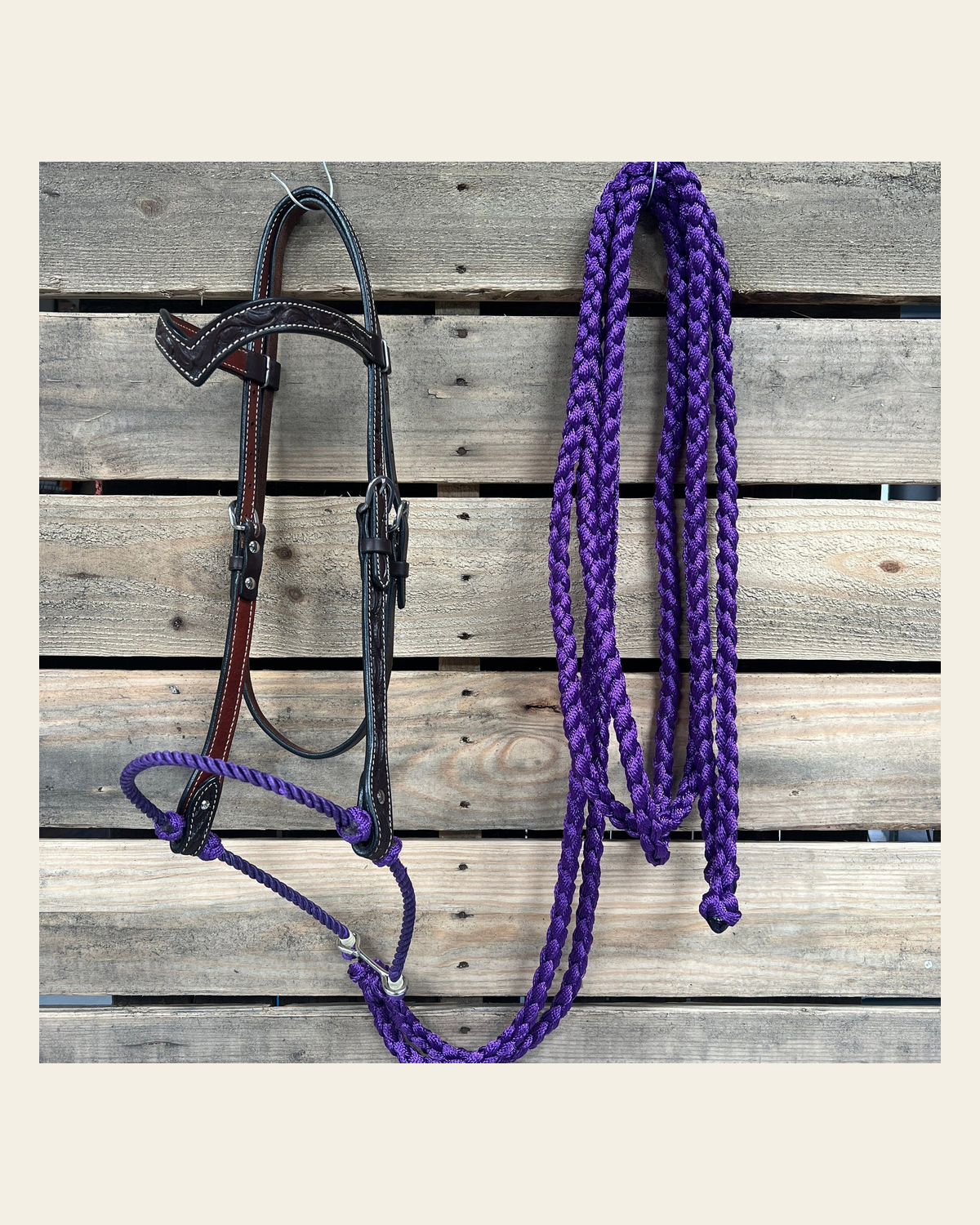 Dark Oil Floral V-Brow Purple Loping Hackamore #LHK030 on a warm cream background