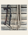 Dark Oil Floral V-Brow Tan Loping Hackamore #LHK031 on a warm cream background