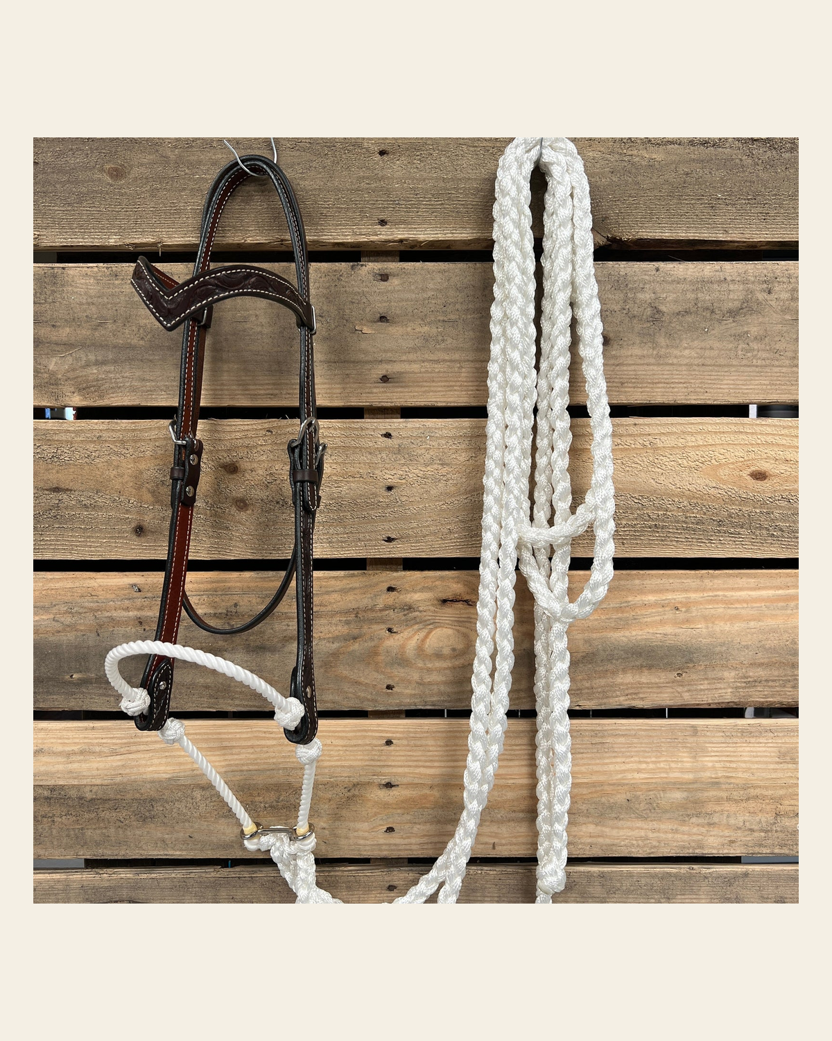 Dark Oil Floral V-Brow White Loping Hackamore #LHK029 on a warm cream background