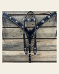 Dark Oil Silver Dot Antique Silver Floral Browband / One Ear Tack Set #BBBC631 on a warm cream background
