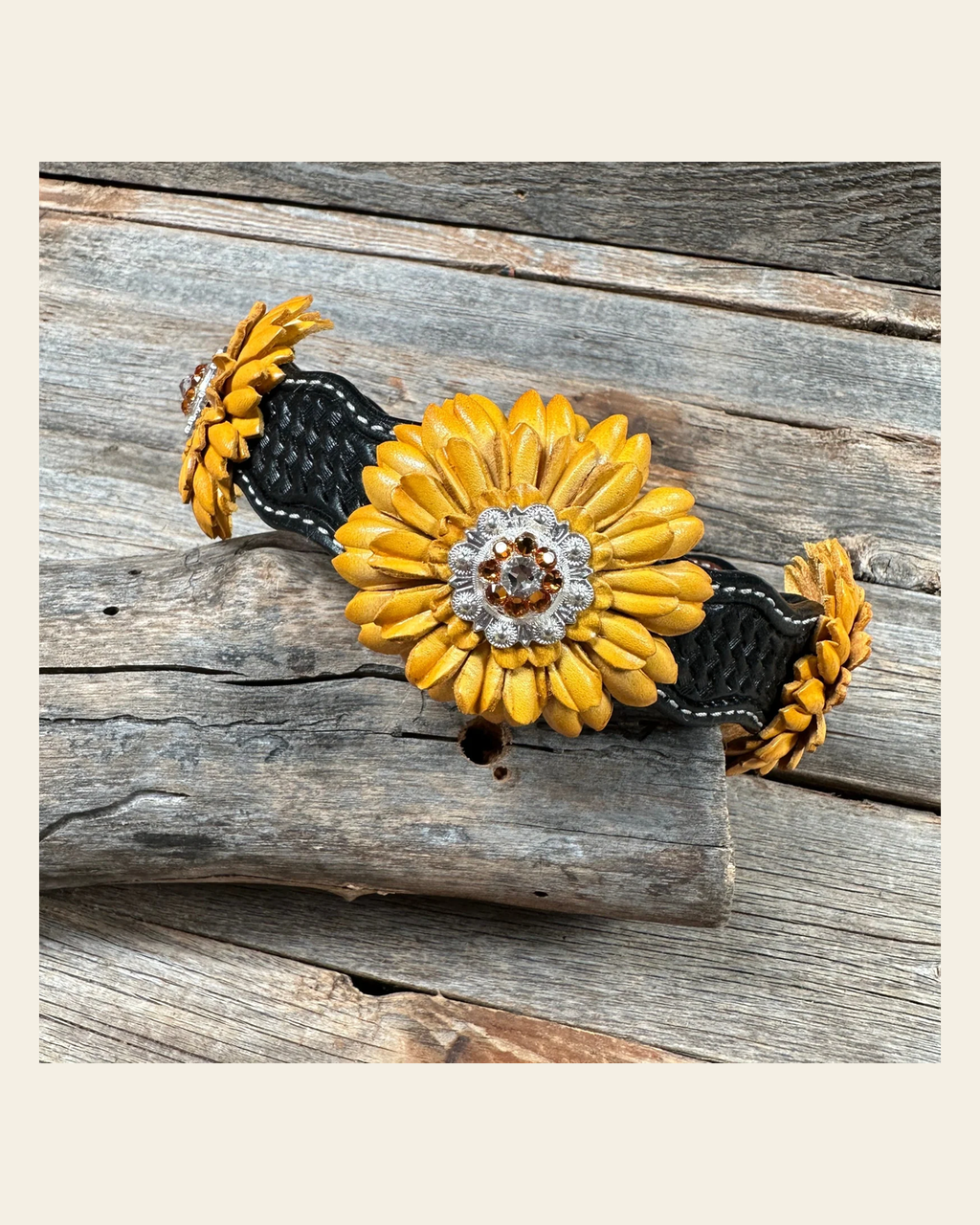 DC19 -Black Oil Genuine Leather Sunflower Dog Collar 18" to 28" on a warm cream background