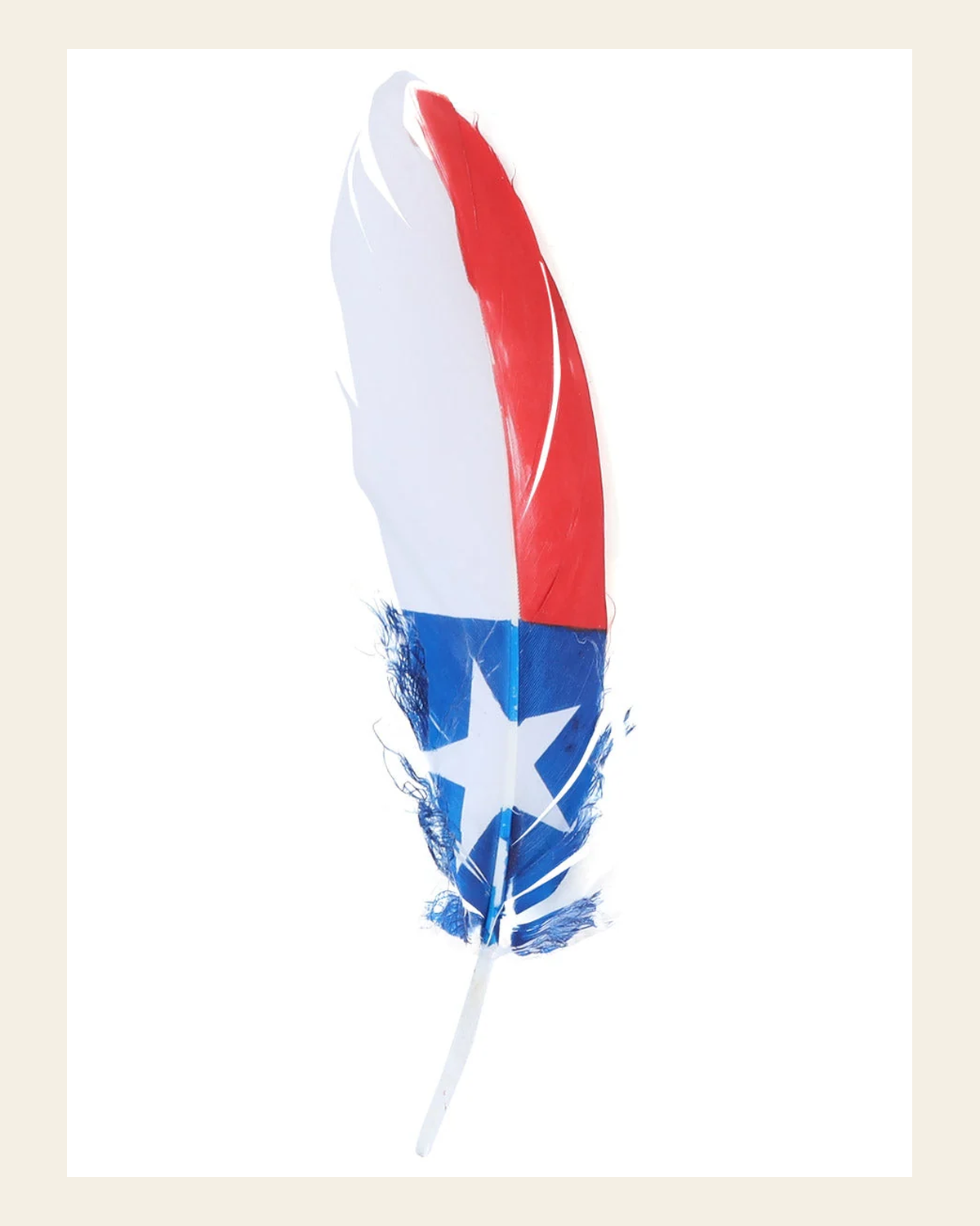 Hand Painted Texas Hat Feather Accessory - 42039 on a warm cream background