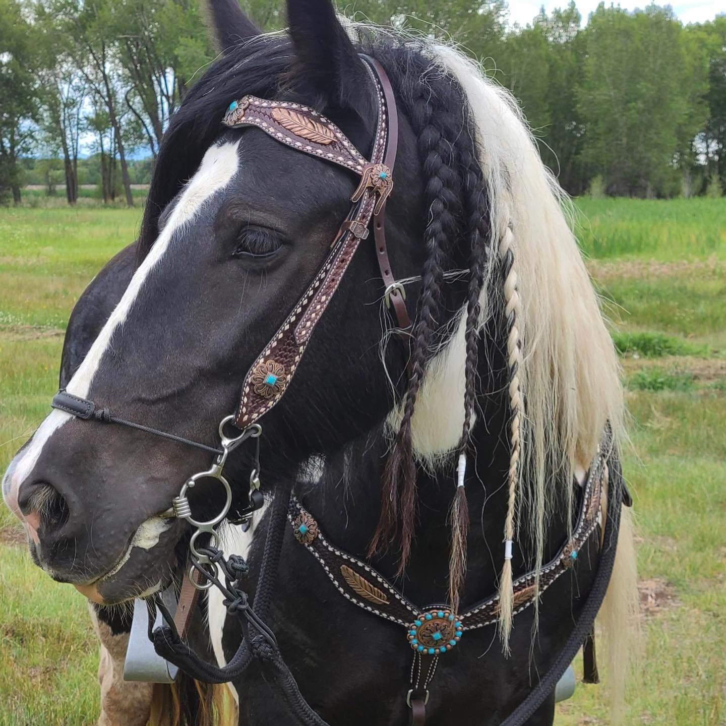 Dark Oil Buckstitch Copper and Turquoise Browband / One Ear / Breastcollar Buckstitch Tack Set #BBBC400 — view 9
