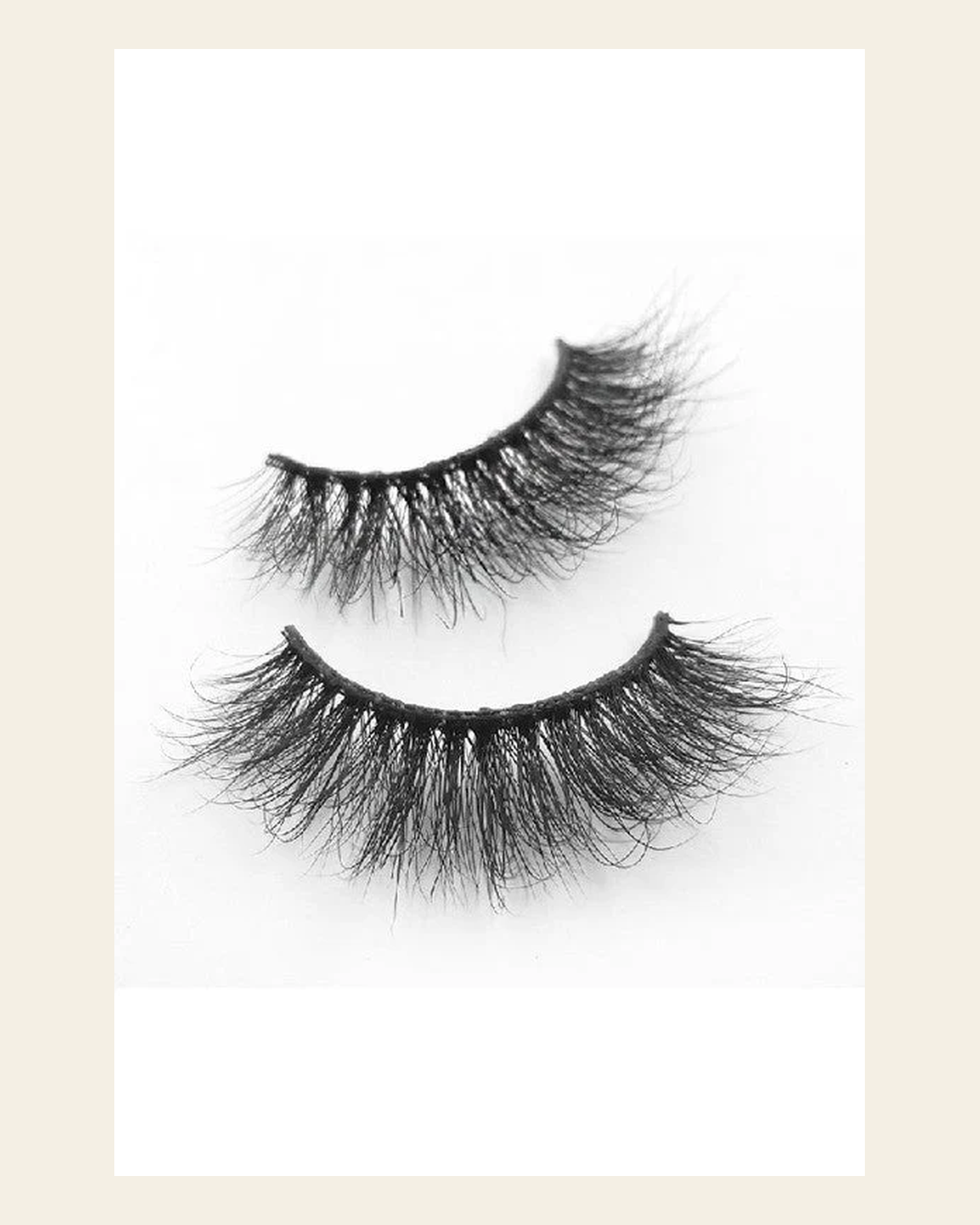 Dixon Lash (3d-05) on a warm cream background
