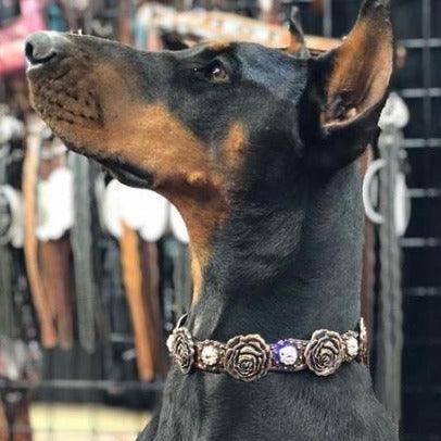 DC30 Genuine Leather Copper Rose Dog Collar With Clear European Crystals