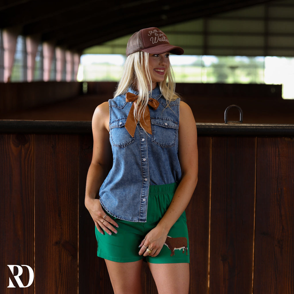 Dylan Denim Sleeveless | Top — view 2