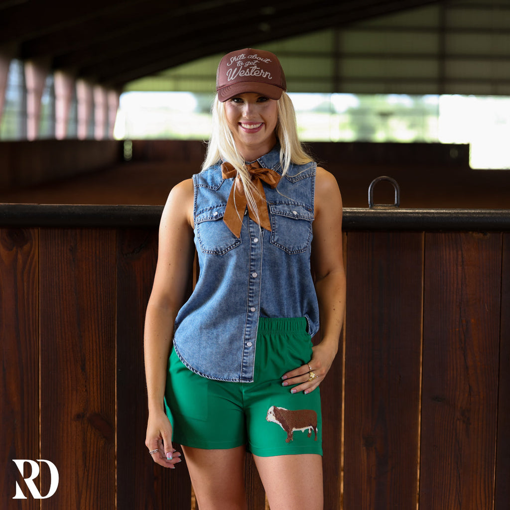 Dylan Denim Sleeveless | Top