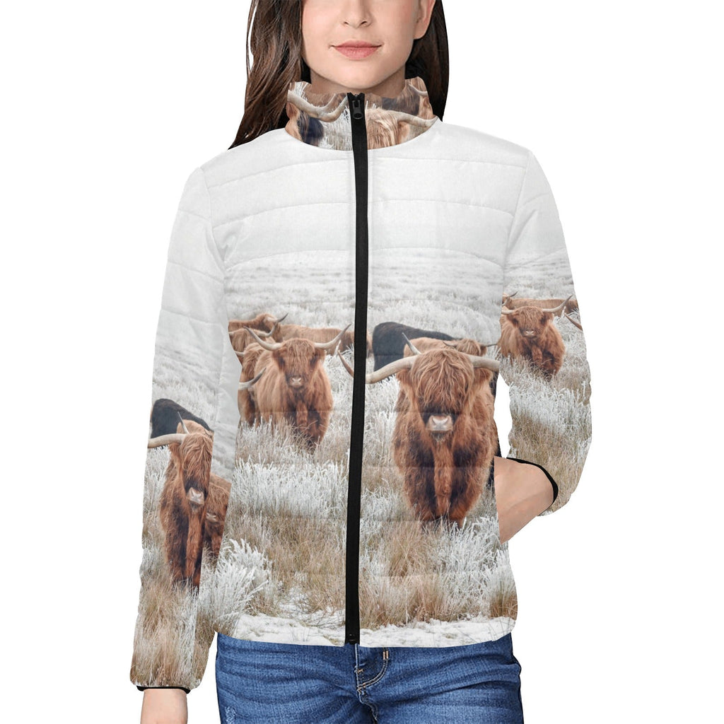 Highland Cow Herd Women's Puffy Bomber Jacket by Baha Ranch Western Wear