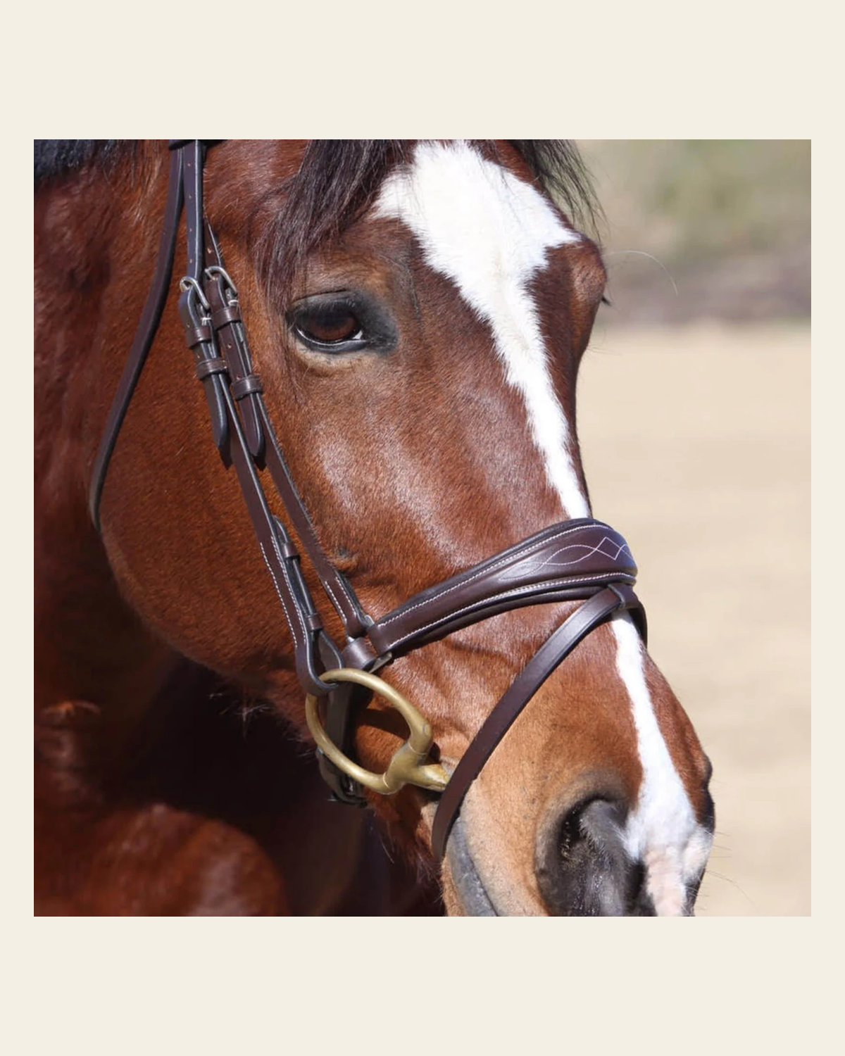 ExionPro Anatomical Dressage Bridle with Reins on a warm cream background