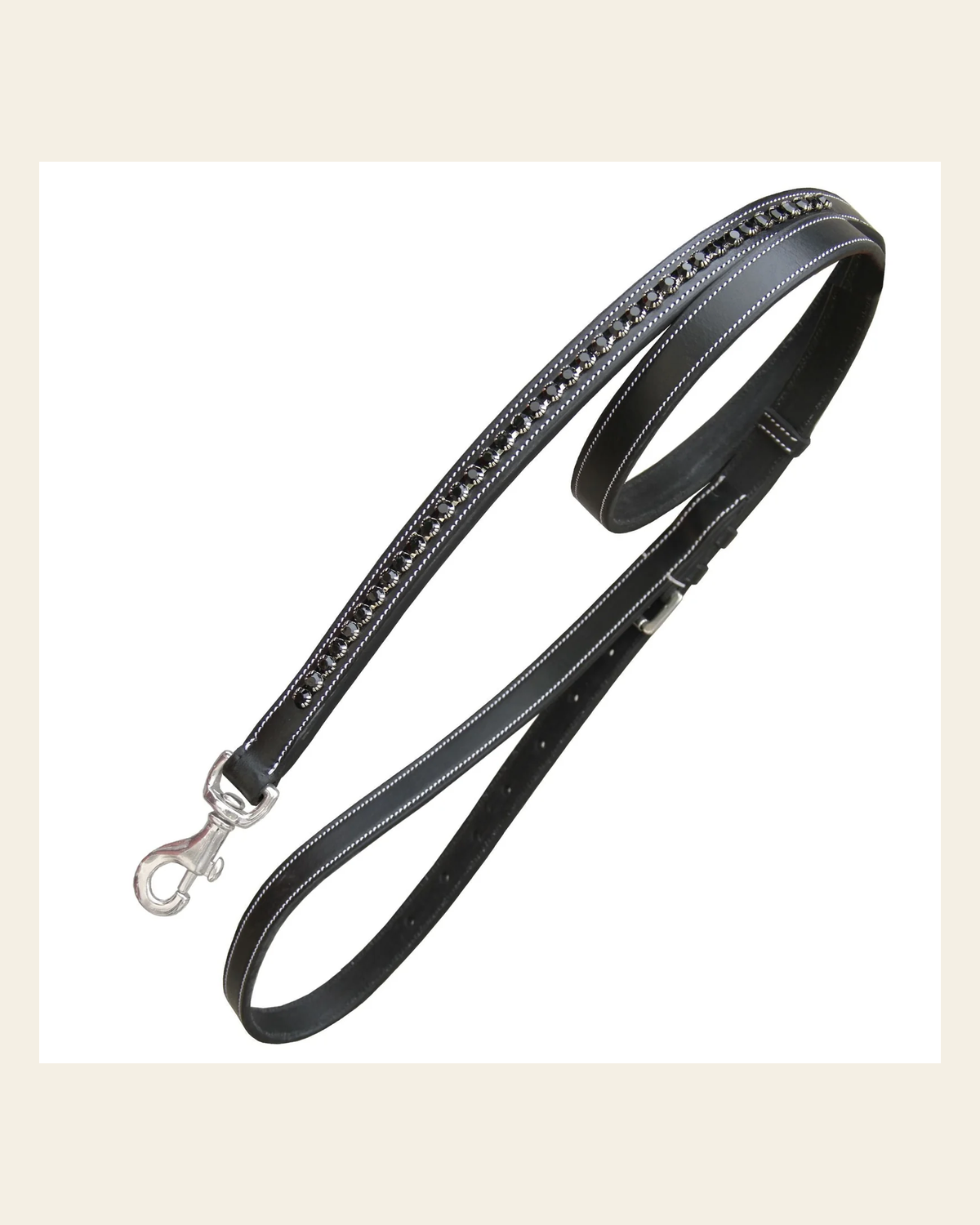 ExionPro Black Bling Dog Leash on a warm cream background