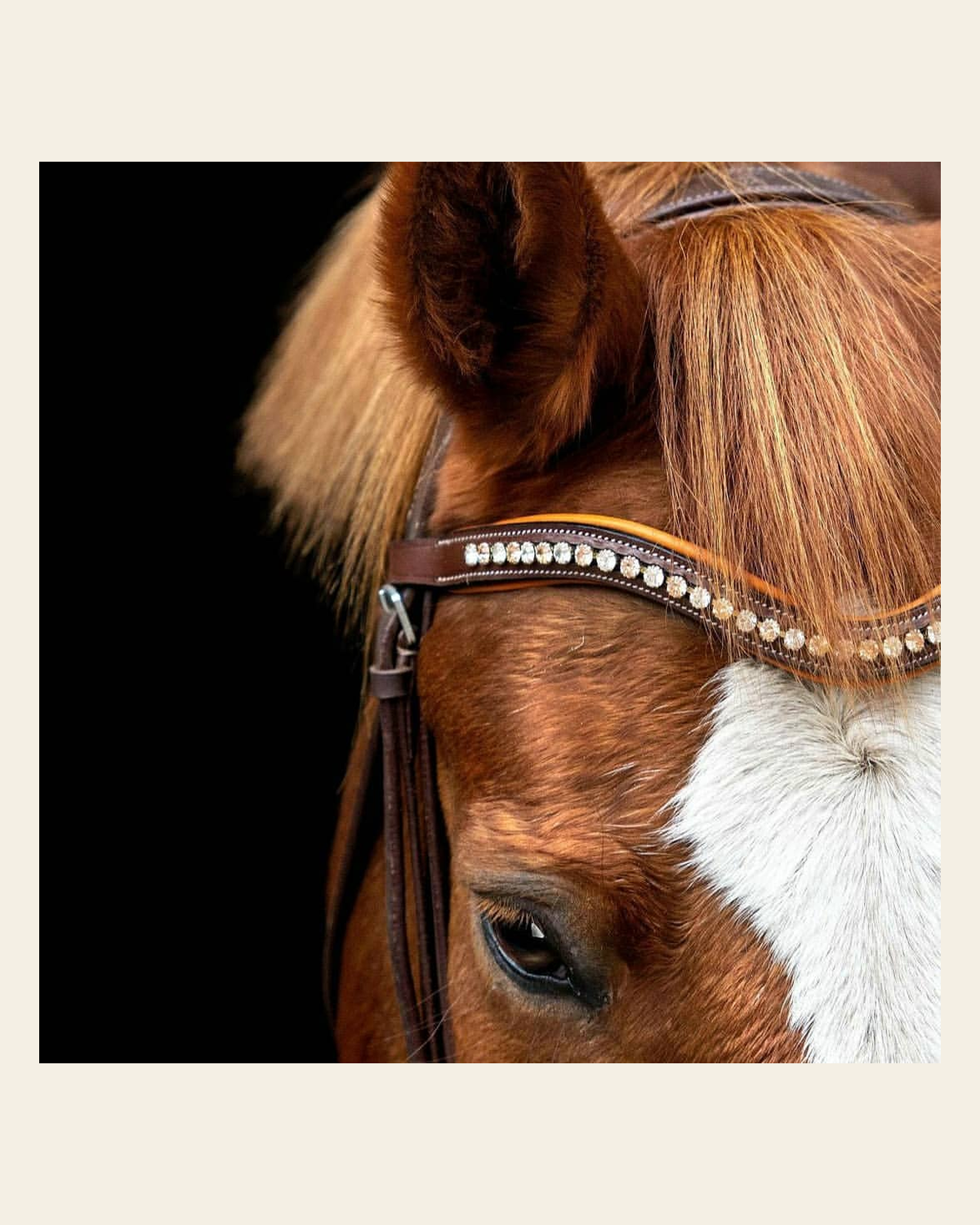ExionPro Elegant Soft Padded Light Peach, Clear Crystal Browband on a warm cream background