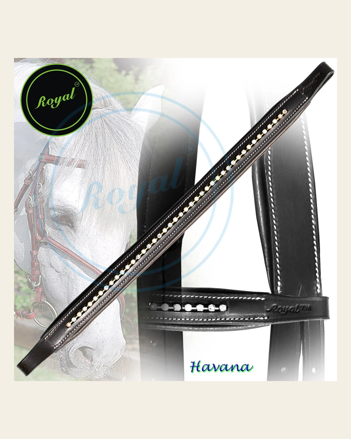 ExionPro Elegant Tiny Sparkling Crystal Padded Browband on a warm cream background