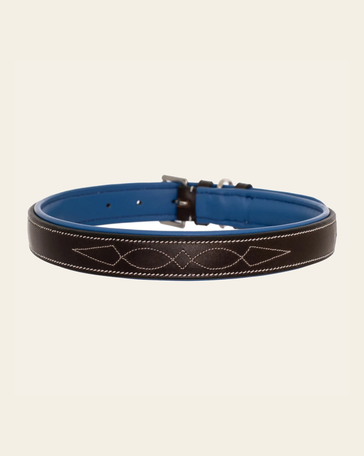 ExionPro Fancy Stitched Padded Leather Dog Collar - Blue Padding on a warm cream background