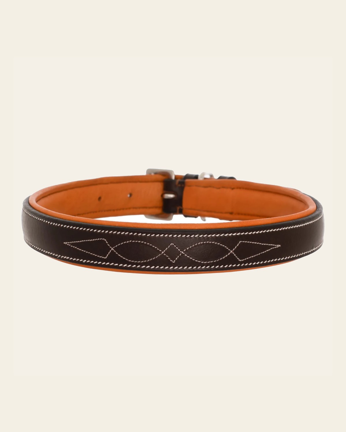 ExionPro Fancy Stitched Padded Leather Dog Collar - Conker Padding on a warm cream background