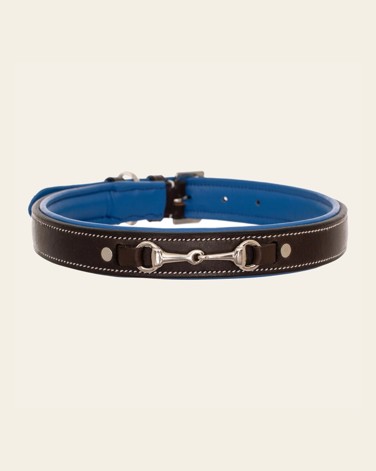 ExionPro Silver Snaffle Padded Leather Dog Collar - Blue Padding on a warm cream background